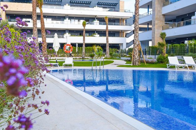 Foto 1 de Àtic en venda a Playa Flamenca - Punta Prima de 2 habitacions amb terrassa i piscina