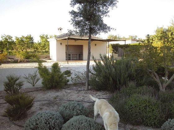 Foto 2 de Venta de chalet en La Algoda - Matola - El Pla de 4 habitaciones con terraza y jardín