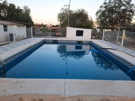Foto 1 de Casa rural en lloguer a La Algoda - Matola - El Pla de 1 habitació amb terrassa i piscina