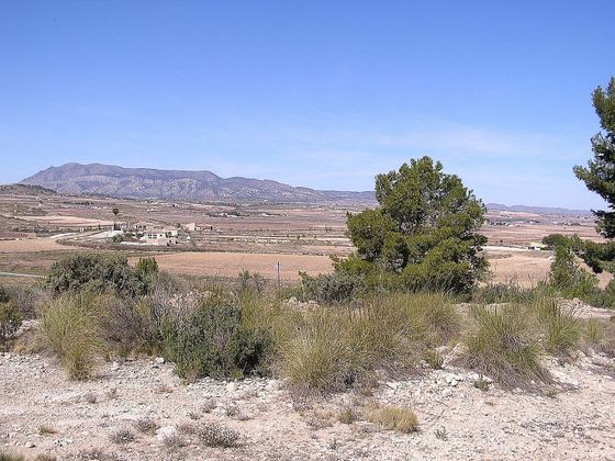Foto 1 de Venta de terreno en Pinós de 10200 m²