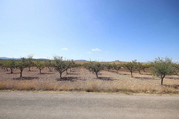 Foto 1 de Venta de terreno en Pinós de 25000 m²