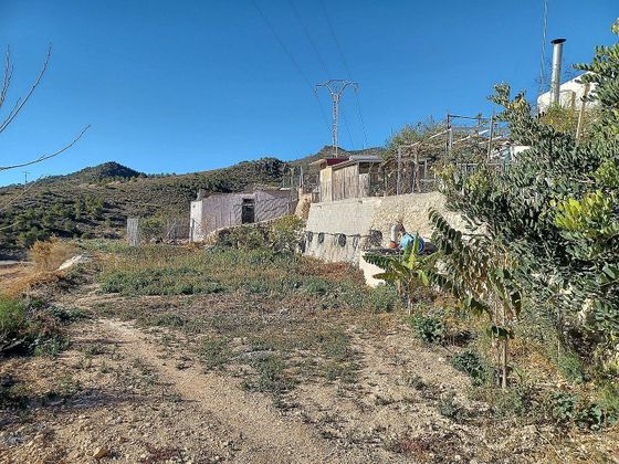 Foto 2 de Casa rural en venda a Jumilla de 6 habitacions amb terrassa i piscina