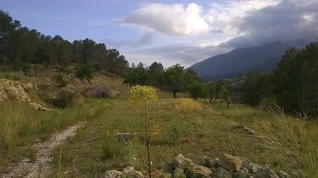 Foto 1 de Venta de terreno en Benissa de 15167 m²