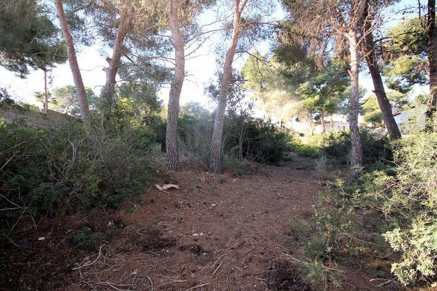 Foto 1 de Venta de terreno en Benissa de 1039 m²