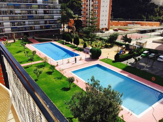 Foto 1 de Pis en venda a avenida De la Marina Baixa de 2 habitacions amb terrassa i piscina