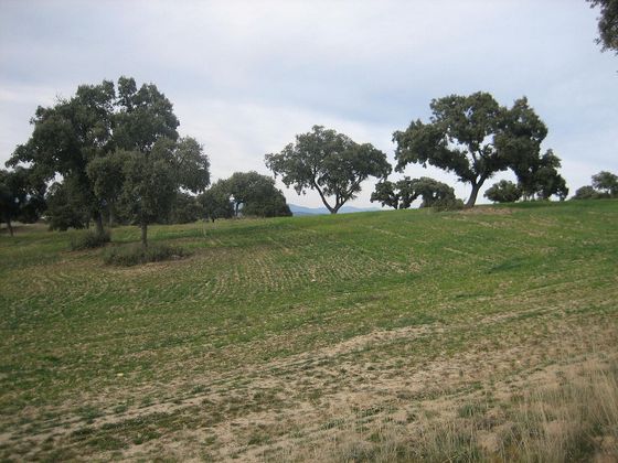 Foto 2 de Venta de terreno en Quijorna de 65000 m²