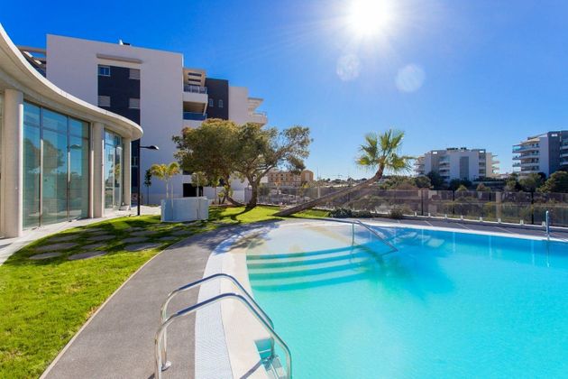Foto 2 de Pis en venda a Playa Flamenca - Punta Prima de 3 habitacions amb terrassa i piscina