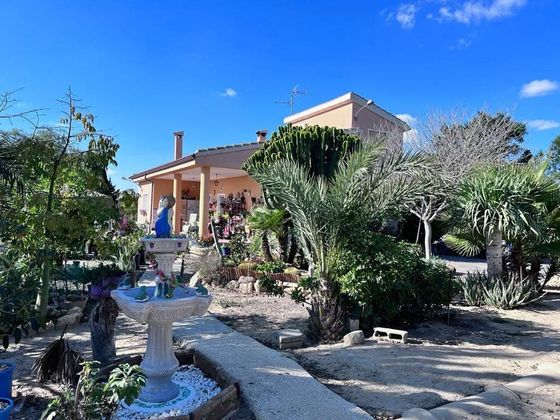 Foto 2 de Xalet en venda a Nou Altabix de 4 habitacions amb terrassa i piscina