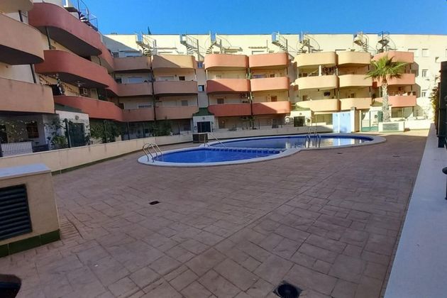 Foto 1 de Pis en venda a Almoradí de 2 habitacions amb terrassa i piscina