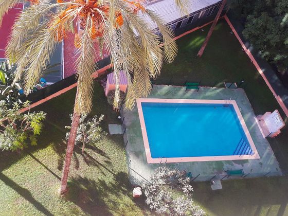 Foto 2 de Pis en venda a Pueblo Levante de 1 habitació amb terrassa i piscina