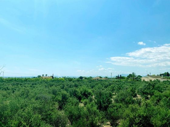 Foto 2 de Venta de terreno en La Algoda - Matola - El Pla de 14174 m²