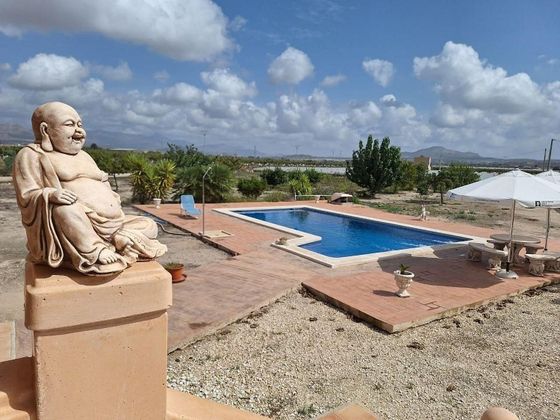 Foto 2 de Casa en venda a Novelda de 3 habitacions amb piscina i jardí