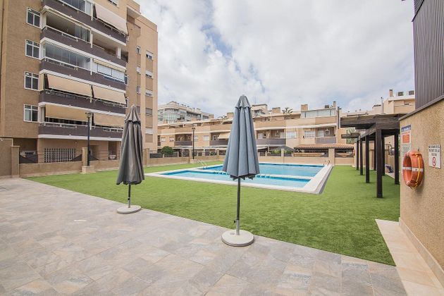 Foto 1 de Casa en venda a Nou Altabix de 4 habitacions amb terrassa i piscina