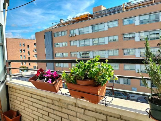 Foto 2 de Venta de piso en Montserrat - Parque Empresarial de 3 habitaciones con terraza y jardín