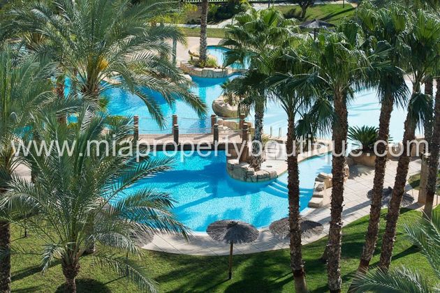 Foto 1 de Alquiler de piso en Alicante Golf de 2 habitaciones con terraza y piscina