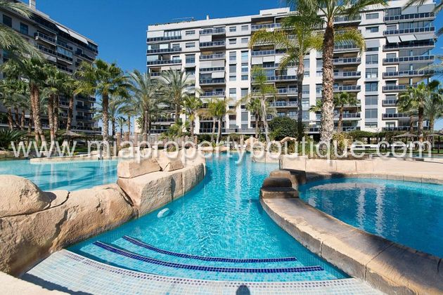 Foto 2 de Alquiler de piso en Alicante Golf de 2 habitaciones con terraza y piscina