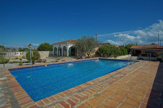 Foto 1 de Venta de chalet en Oliva Nova de 3 habitaciones con terraza y piscina