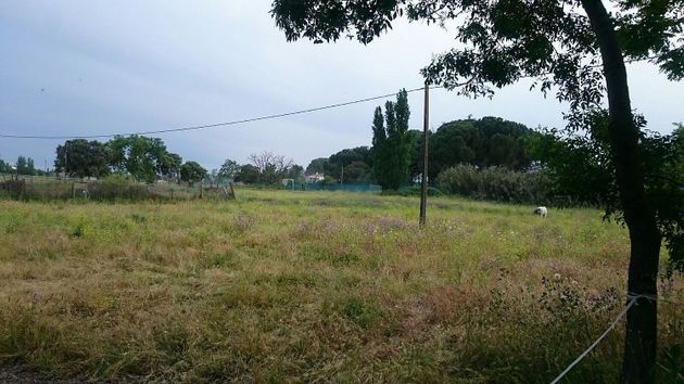 Foto 2 de Venta de terreno en calle Toledano de 33850 m²