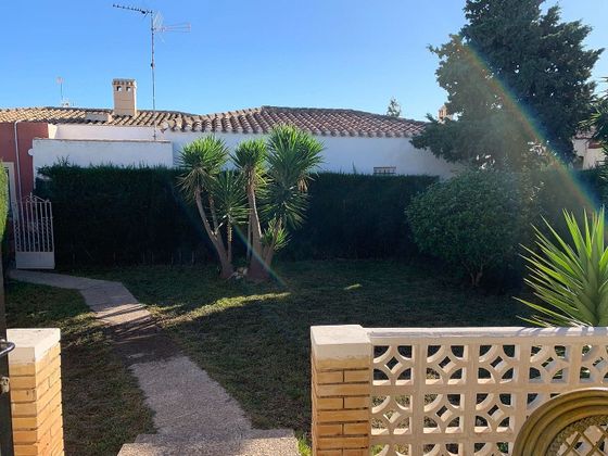 Foto 2 de Xalet en lloguer a Dehesa de Campoamor - La Regia - Aguamarina de 3 habitacions amb terrassa i piscina