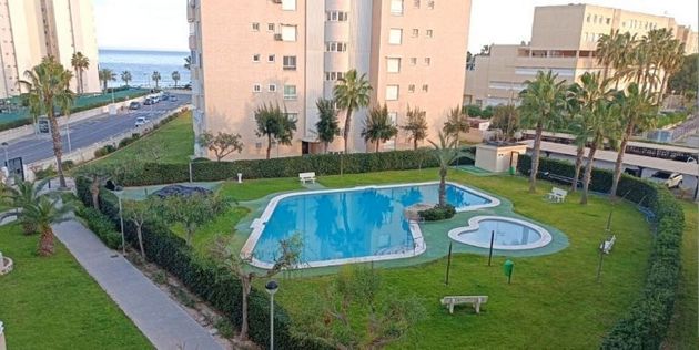 Foto 1 de Pis en lloguer a Palmeral - Urbanova  - Tabarca de 1 habitació amb terrassa i piscina
