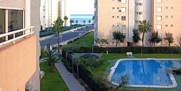 Foto 2 de Piso en alquiler en Palmeral - Urbanova  - Tabarca de 1 habitación con terraza y piscina
