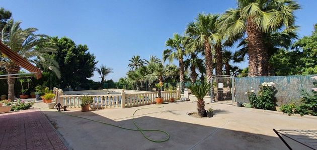Foto 1 de Venta de casa en La Algoda - Matola - El Pla de 5 habitaciones con terraza y piscina