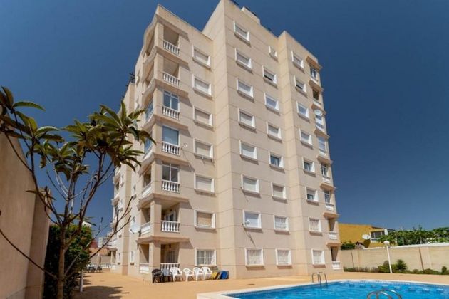 Foto 2 de Pis en venda a Nueva Torrevieja - Aguas Nuevas de 1 habitació amb balcó i aire acondicionat