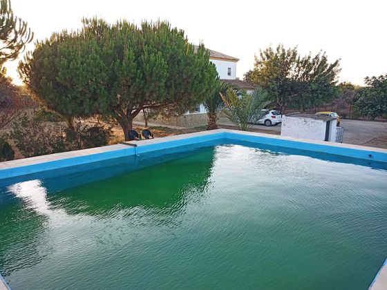 Foto 2 de Xalet en venda a Utrera de 4 habitacions amb piscina i jardí