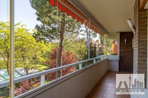 Foto 2 de Pis en venda a Prado de Somosaguas de 4 habitacions amb terrassa i piscina