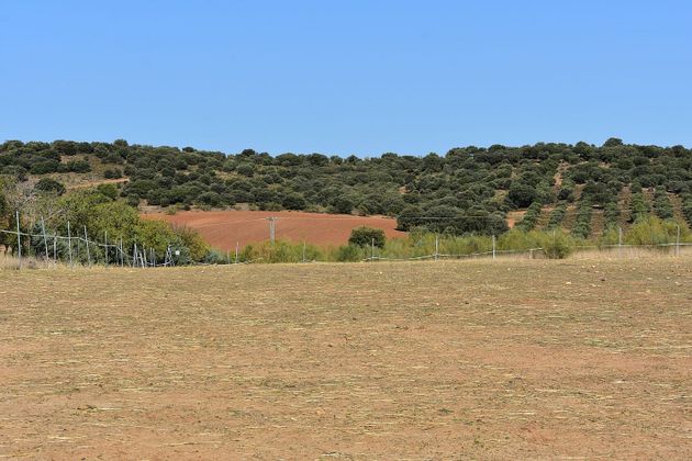 Foto 2 de Venta de terreno en Ribatejada de 28400 m²