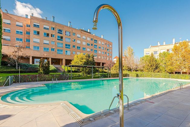 Foto 1 de Alquiler de piso en Piovera - Conde Orgaz de 2 habitaciones con piscina y jardín