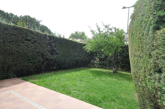 Foto 2 de Casa en lloguer a El Soto de la Moraleja de 4 habitacions amb terrassa i piscina