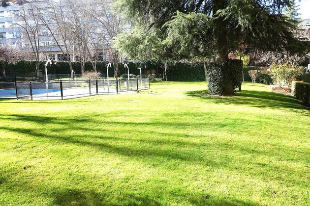 Foto 1 de Pis en venda a Ciudad Universitaria de 4 habitacions amb terrassa i piscina