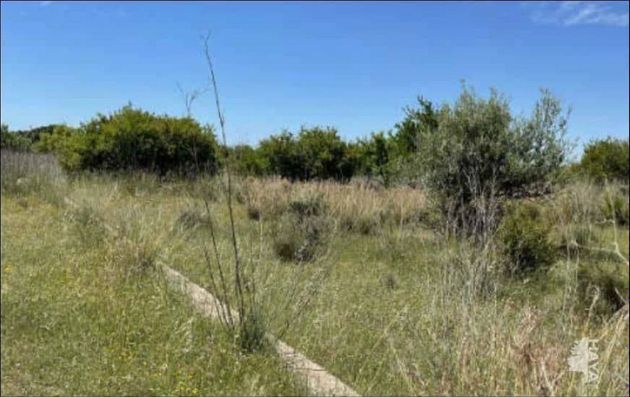 Foto 1 de Venta de terreno en Montornés - Las Palmas - El Refugio de 8742 m²