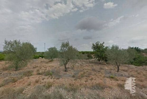 Foto 2 de Venta de terreno en San Jorge de 14211 m²