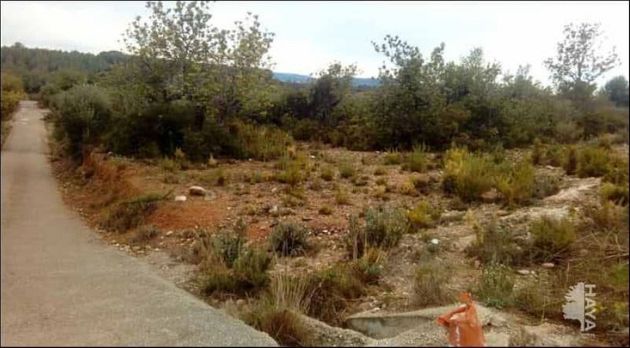 Foto 2 de Venta de terreno en San Jorge de 1292 m²