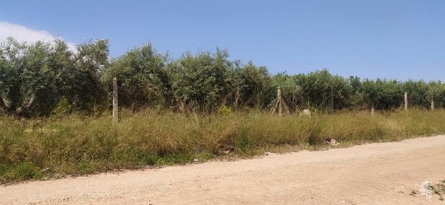 Foto 2 de Venta de terreno en Centro - Murcia de 4975 m²