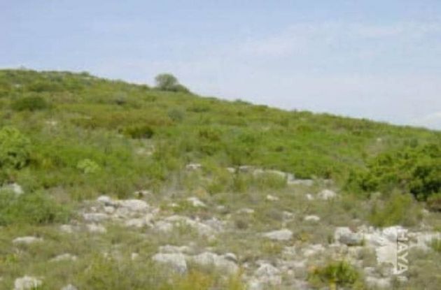Foto 1 de Venta de terreno en Alcalà de Xivert pueblo de 5490 m²