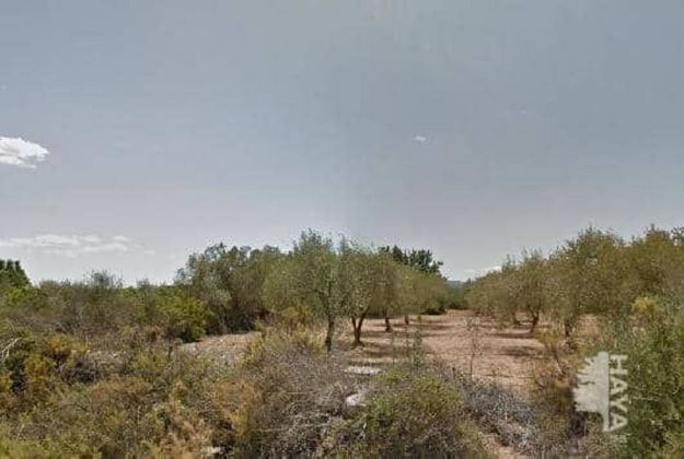 Foto 2 de Venta de terreno en San Jorge de 6010 m²