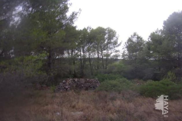 Foto 1 de Venta de terreno en San Jorge de 8180 m²
