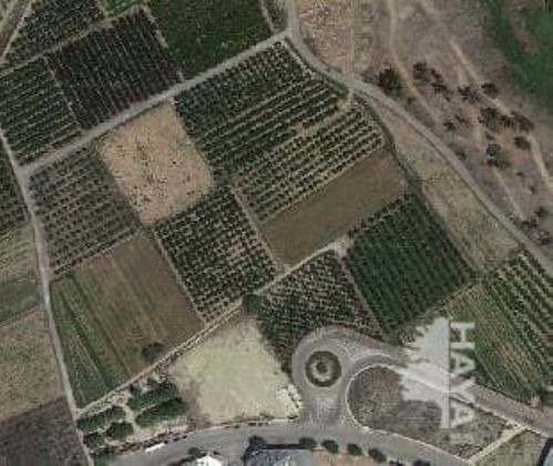 Foto 2 de Venta de terreno en Alcúdia (l´) de 3794 m²
