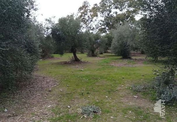 Foto 2 de Venta de terreno en Castilblanco de los Arroyos de 11467 m²
