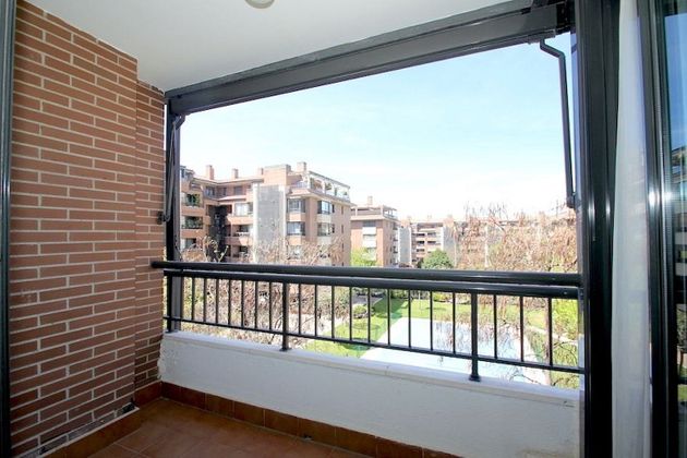 Foto 1 de Pis en lloguer a Montecarmelo de 2 habitacions amb terrassa i piscina