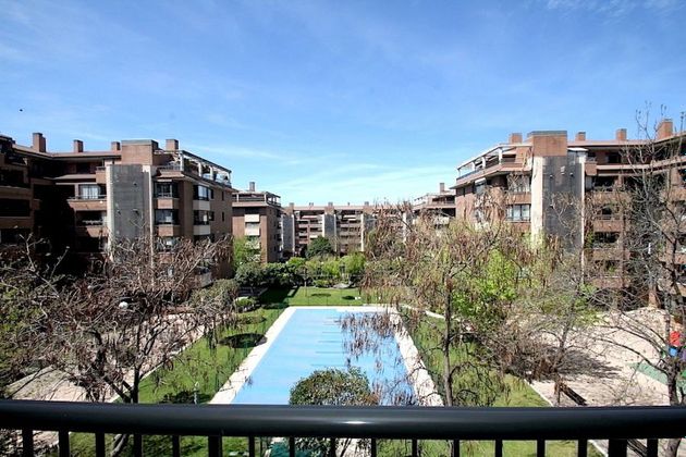 Foto 2 de Pis en lloguer a Montecarmelo de 2 habitacions amb terrassa i piscina
