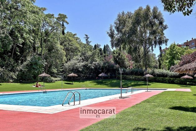 Foto 1 de Alquiler de piso en Piovera - Conde Orgaz de 4 habitaciones con terraza y piscina