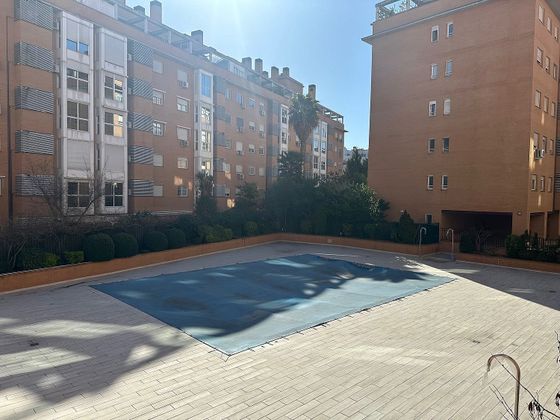 Foto 2 de Pis en venda a Buenavista de 3 habitacions amb piscina i garatge