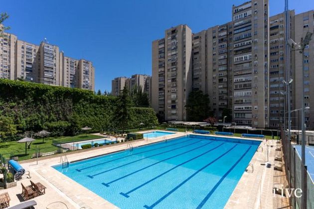 Foto 1 de Pis en venda a Pilar de 3 habitacions amb terrassa i piscina