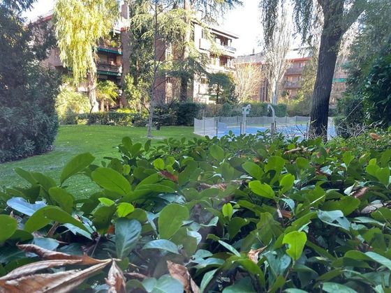 Foto 1 de Àtic en venda a Nueva España de 8 habitacions amb terrassa i piscina