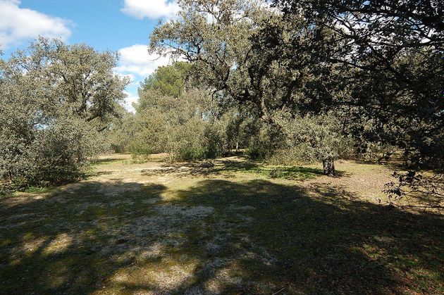 Foto 2 de Venta de terreno en La Florida - El Plantío de 10000 m²