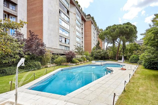 Foto 1 de Pis en lloguer a Nueva España de 4 habitacions amb terrassa i piscina